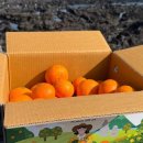 진한농장 이미지