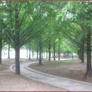 평화공원 쪽 이미지