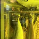 사랑회 - 천안시 서북구 두정역동6길 18 | 하단 넘버원 숙성회 전문점 회를 사랑회 방문 후기