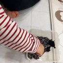 완도즉석김 이미지