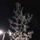 참(charm)행정사 사무소 이미지