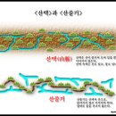 백두대간 이야기 - 1 (산줄기를 찾아서) 이미지