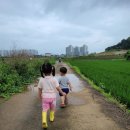 경기엘림어린이집 이미지