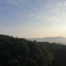 내일도조이풀