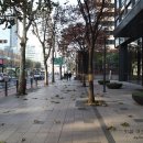 화정종로약국 이미지