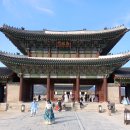 뒷동산 Daum카페