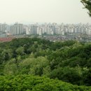 정발산공원 이미지