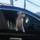 여주-0907 이미지