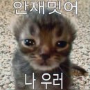 아이비국수사과학원 | 何も捨てることができない人には何も変えることはできない