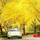 서원대로 이미지