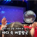 바다의왕국 | 2026 대구 어린이 뮤지컬 아쿠아쇼 바다 속 버블왕국 솔직후기
