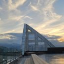 고메팔레스 이미지