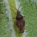 한스행정사사무소 이미지