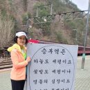 마을방송 | [백두대간협곡열차v트레인(영주-철암) 체험 리얼후기]- 영주역,철암역,분천산타마을,탄광촌,구문소,태백...