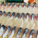 제주 서귀포 맛집 &#39;자리돔횟집&#39; 고등어회 추천 가격 후기