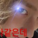 라이즈북 이미지