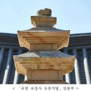 홈사리 이미지
