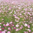 길안면행정복지센터 이미지