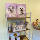 살롱드베베 이미지