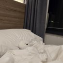 루프탑&오락실 이미지