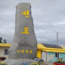 선도수선화 이미지