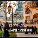 1급제일스카이정비 네이버블로그