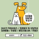 감내 무지개마루 | 강서구애견장례식장 부천애견화장터 철저한 관리로 예의바른 장례식장