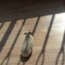 수완종합동물병원 이미지