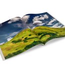 차정수 행정사사무소 이미지