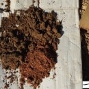 마룡농장 이미지