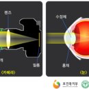 해피아이안과 네이버블로그