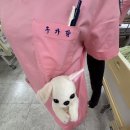 고릴라 PC방 | 251112