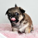 오목교역 6번출구 이미지