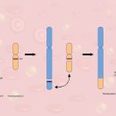 허 한의원 이미지