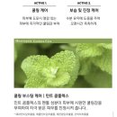 퀵프린트 | 토미 모리 어성초 시카 퀵 카밍 수딩 젤 후기