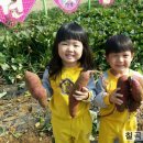 칠곡한솔유치원 이미지