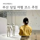 영도조선(주) | 부산 당일 여행 완벽 코스: 영도 카페·이케아·비건 맛집 아르프·부산현대미술관