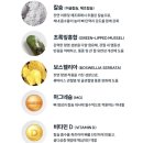 네이처픽스 팜 네이버블로그