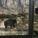 (주) 더 휴식 언더더룸 아늑 대전지점 | 대전 가볼만한곳 숙소 [오월드 야간개장 + 아늑호텔 용전2호점]