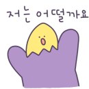 몽글몽글 애견카페 이미지