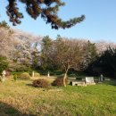 지평선세탁소 이미지