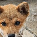 핏티스트 이미지