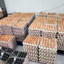 유정농장2 이미지