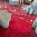 한국수자원공사 논산수도센터 | 논산 딸기축제 찐 후기:: 인근 주차장들 모음 및 메뉴 음식 가격 시세 추천 등 꿀팁 대방출