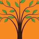 분포초등학교 이미지