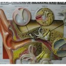 맑은몸한의원 이미지