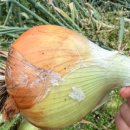 산직농장 이미지