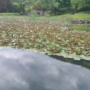 홀리데이펜션 이미지