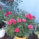 인천미추홀경찰서문학지구대 이미지