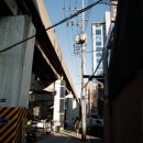 성수농원